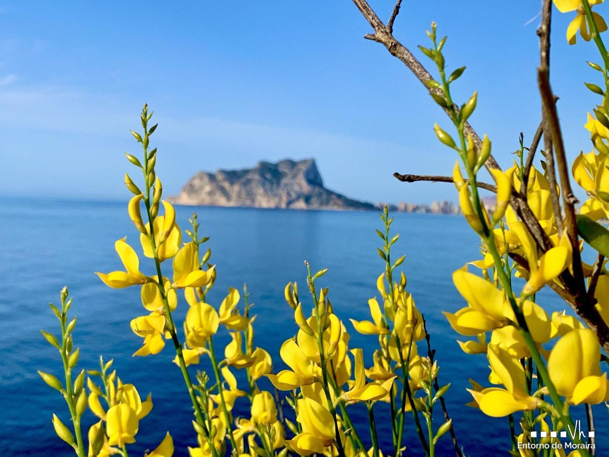 Vh Costablanca - Eva Vil·la